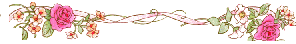 flbar45.gif