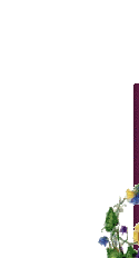 purp.gif